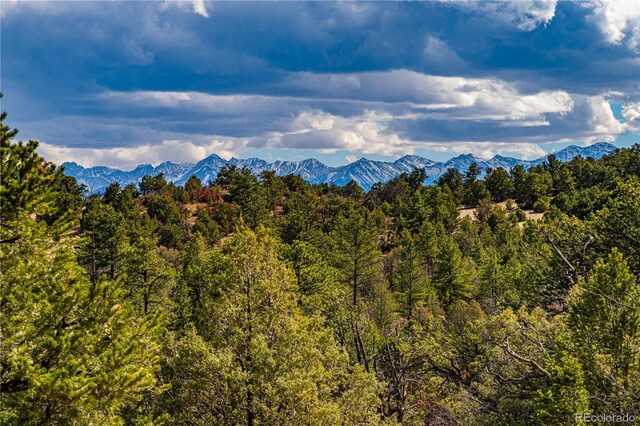 TR-56 Macdonnell, Cotopaxi, CO 81223