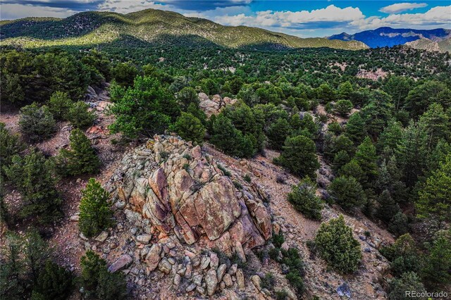 TR-56 Macdonnell, Cotopaxi, CO 81223