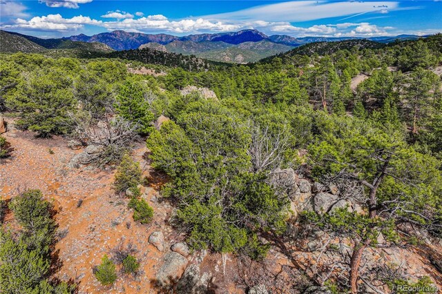 TR-56 Macdonnell, Cotopaxi, CO 81223