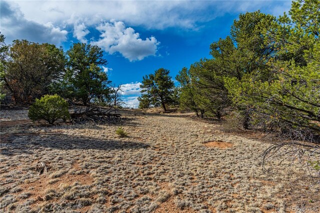 TR-56 Macdonnell, Cotopaxi, CO 81223