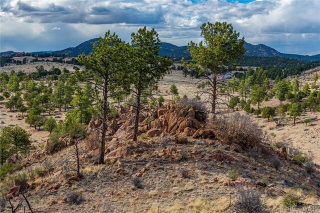 TR-56 Macdonnell, Cotopaxi, CO 81223
