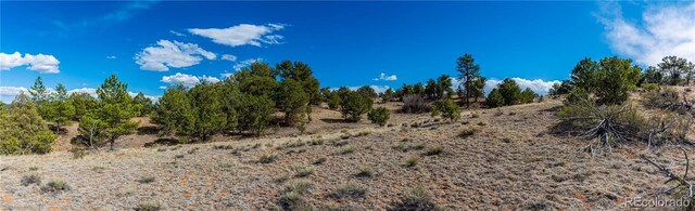 TR-56 Macdonnell, Cotopaxi, CO 81223