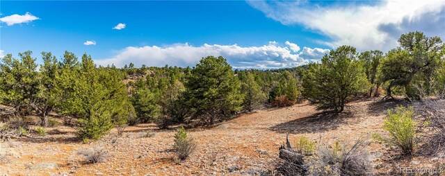 TR-56 Macdonnell, Cotopaxi, CO 81223