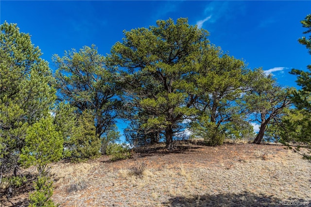 TR-56 Macdonnell, Cotopaxi, CO 81223