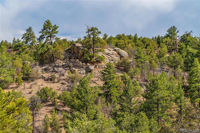 TR-56 Macdonnell, Cotopaxi, CO 81223
