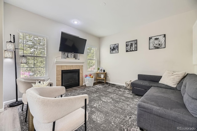 6819 S Webster St Unit B, Littleton, CO 80128 - living area featuring a fireplace and wood finished floors