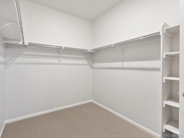 walk in closet with carpet