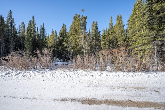 112 Deer Rd, Idaho Springs CO, 80452 land for sale