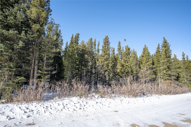 Listing photo 3 for 112 Deer Rd, Idaho Springs CO 80452