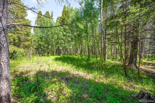 112 Deer Rd, Idaho Springs, CO 80452 - photo 3