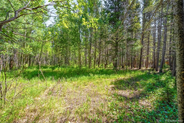 112 Deer Rd, Idaho Springs, CO 80452 - photo 4