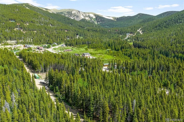 112 Deer Rd, Idaho Springs, CO 80452 - photo 8