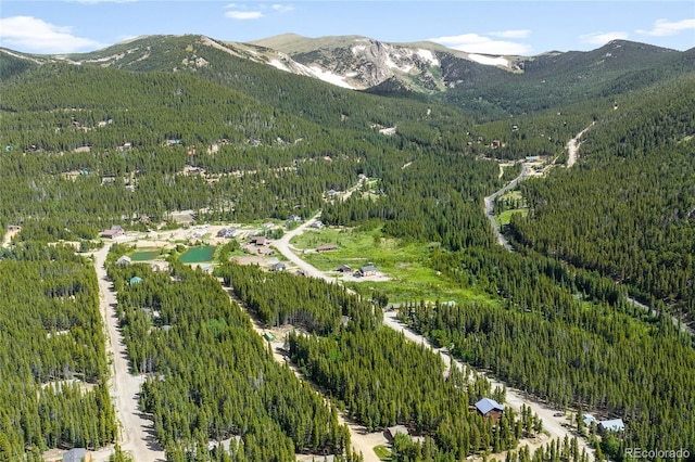 112 Deer Rd, Idaho Springs, CO 80452 - photo 9