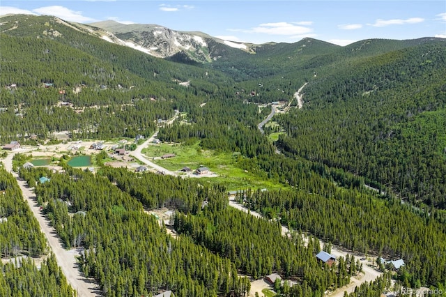 112 Deer Rd, Idaho Springs, CO 80452 - photo 10