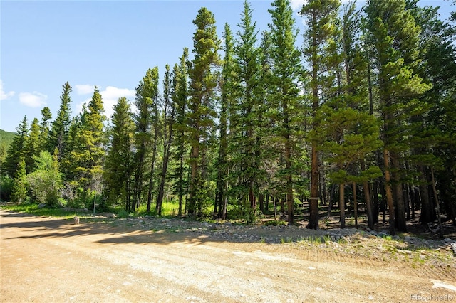 112 Deer Rd, Idaho Springs, CO 80452 - photo 2