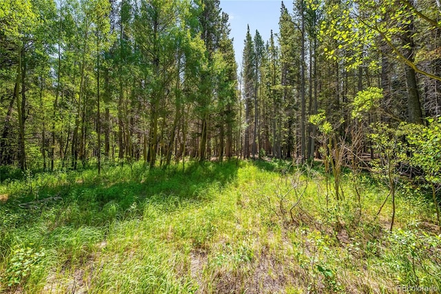 112 Deer Rd, Idaho Springs, CO 80452 - photo 5