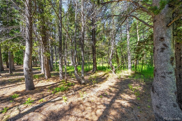 112 Deer Rd, Idaho Springs, CO 80452 - photo 6