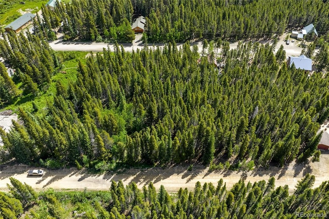 112 Deer Rd, Idaho Springs, CO 80452 - photo 7