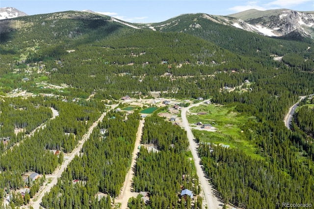 112 Deer Rd, Idaho Springs, CO 80452 - photo 11