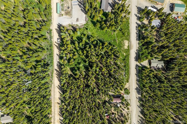112 Deer Rd, Idaho Springs, CO 80452 - photo 12