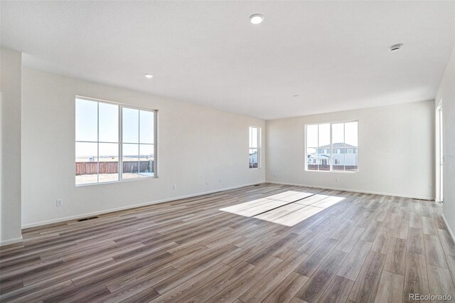 empty room featuring light hardwood / wood-style flooring and a wealth of natural light