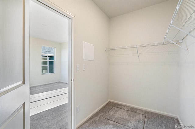 spacious closet with carpet floors