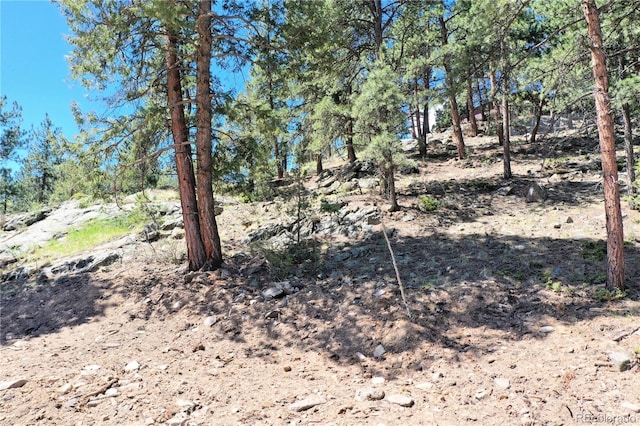 325 Bob Cat Trl, Bailey, CO 80421 - view of nature