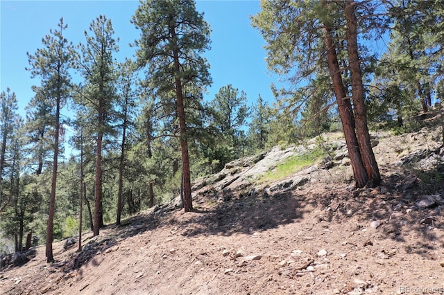 325 Bob Cat Trl, Bailey, CO 80421 - view of undeveloped land