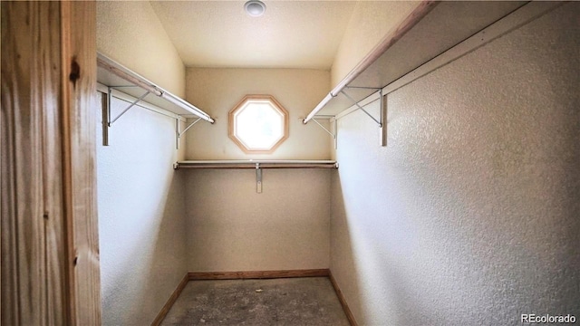 325 Bob Cat Trl, Bailey, CO 80421 - view of walk in closet