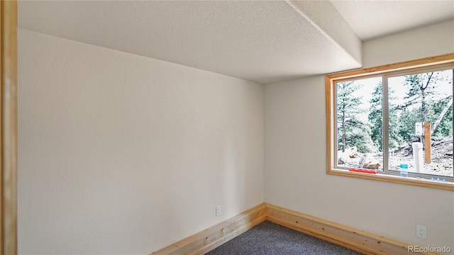 325 Bob Cat Trl, Bailey, CO 80421 - spare room with carpet and baseboards
