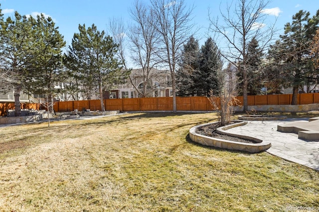 view of yard featuring a patio area and a fenced backyard