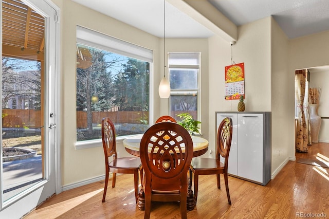 dining room featuring baseboards and wood finished floors