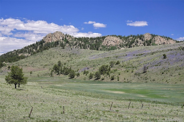 294 Wrights Ln, Guffey, CO 80820