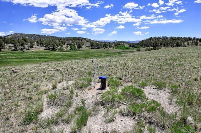 294 Wrights Ln, Guffey, CO 80820