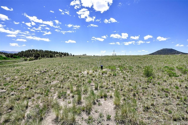 294 Wrights Ln, Guffey, CO 80820