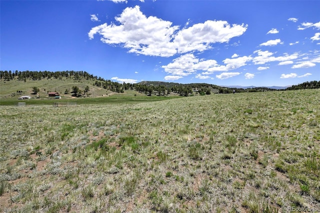 294 Wrights Ln, Guffey, CO 80820