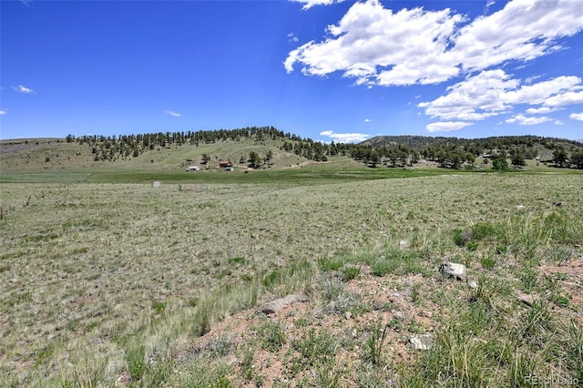 294 Wrights Ln, Guffey, CO 80820