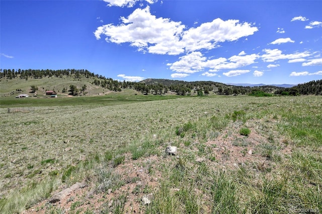 294 Wrights Ln, Guffey, CO 80820