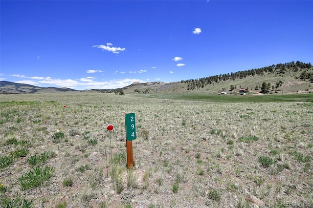 294 Wrights Ln, Guffey, CO 80820