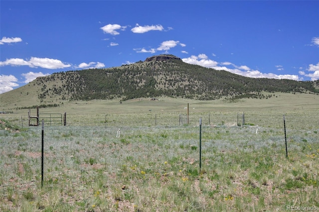294 Wrights Ln, Guffey, CO 80820