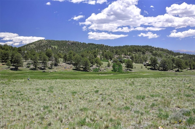 294 Wrights Ln, Guffey, CO 80820