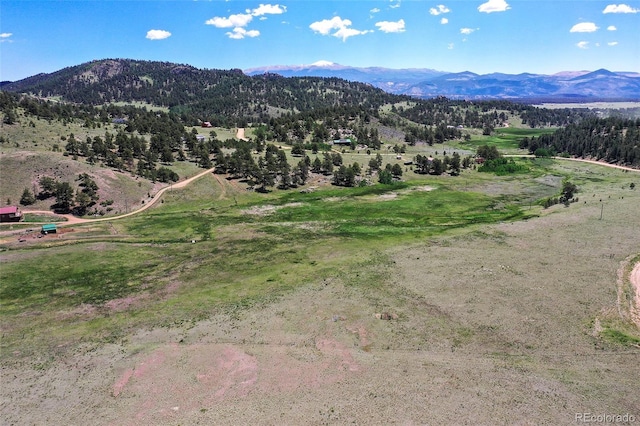 294 Wrights Ln, Guffey, CO 80820