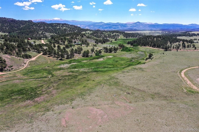 294 Wrights Ln, Guffey, CO 80820
