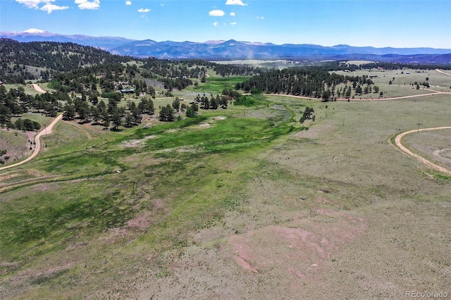 294 Wrights Ln, Guffey, CO 80820