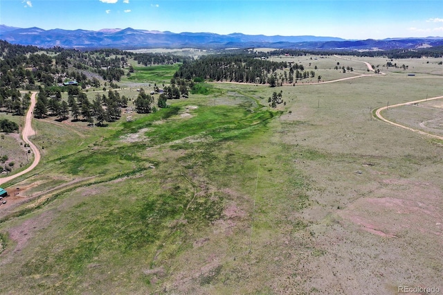 294 Wrights Ln, Guffey, CO 80820