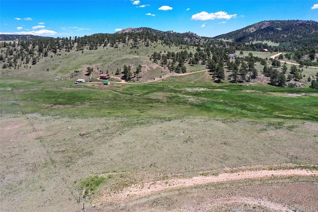 294 Wrights Ln, Guffey, CO 80820