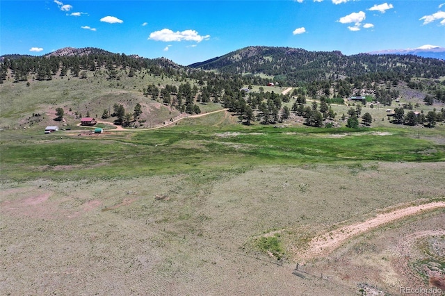 294 Wrights Ln, Guffey, CO 80820