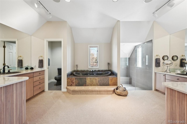 full bath featuring a tile shower, vanity, rail lighting, lofted ceiling, and a bath