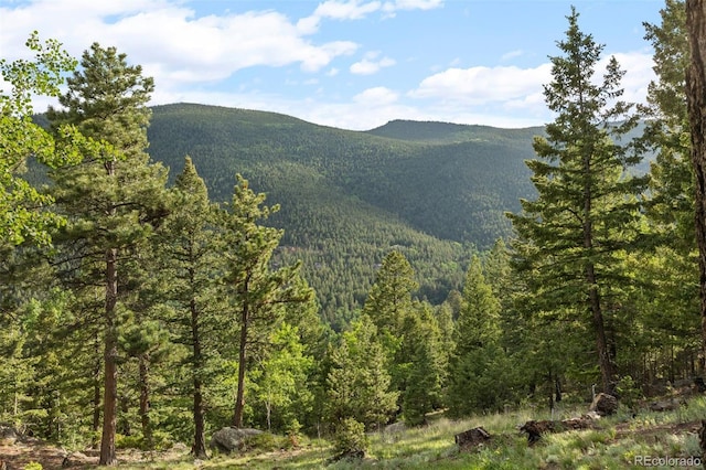 80 Spruce Ct, Evergreen, CO 80439 - mountain view featuring a heavily wooded area