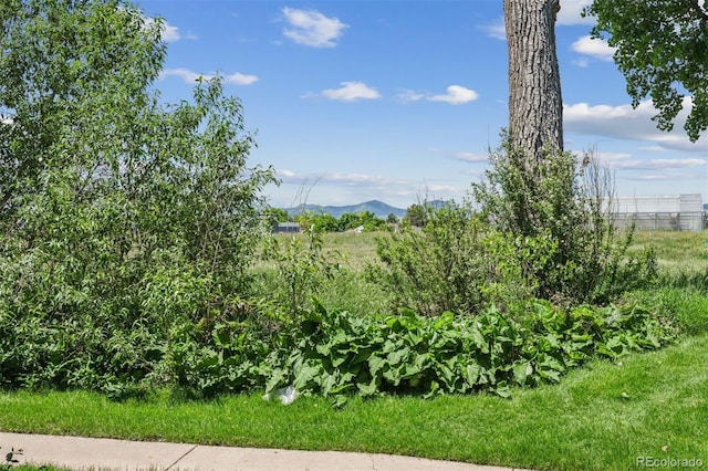 4899 S Dudley St Unit 7E, Littleton, CO 80123 - view of yard with a mountain view